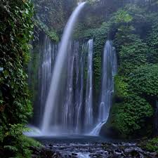 Rinjani Soft Trekking